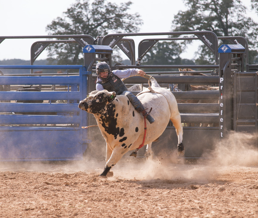 Adjust-a-Bull Bucking Chute - Image 1