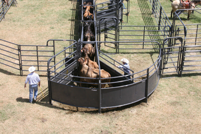 Sheeted Sweep Bow Gate - Image 4