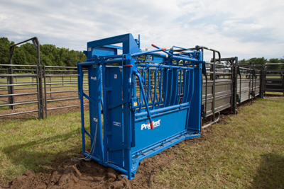 Sheeted Preg Panel w/Sorting Gate - Image 2