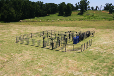 Rough Stock Open Corral System - 100 Head - Image 2