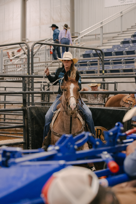 Manual Calf Roping Chute - Image 14
