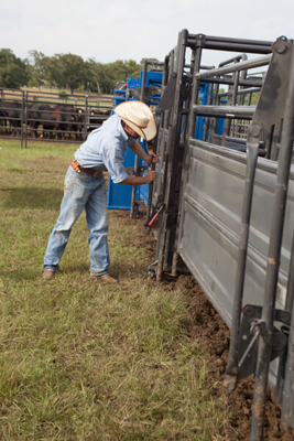 10' Sheeted Alley Panel - Image 2