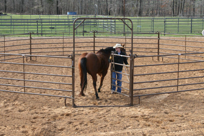 Utility Round Pens - Image 6