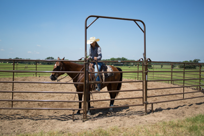 Utility Round Pens - Image 5