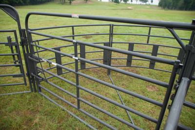 Rough Stock Open Bow Gate - Image 4