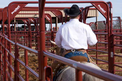 9' Tall Rough Stock Bow Gates - Image 4