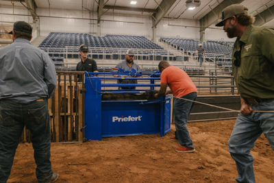 Manual Calf Roping Chute - Image 2