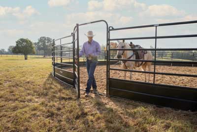 Premium Round Pens - Image 4