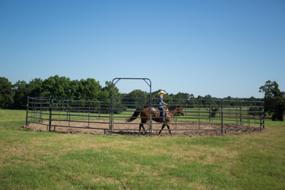 6' Tall Premier/Mustang Panel Round Pens - Image 2