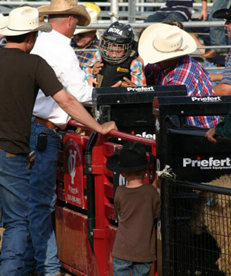 Mutton Bustin Chute - Image 0