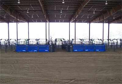 Bucking Chute - Image 15
