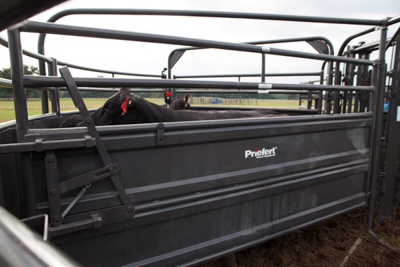 Sheeted Sweep Bow Gate - Image 1