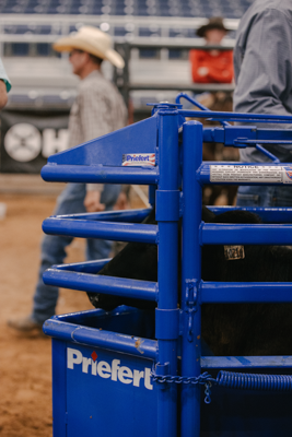 Manual Calf Roping Chute - Image 9