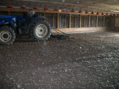 Chain Harrow w/Lift Kit - Image 1