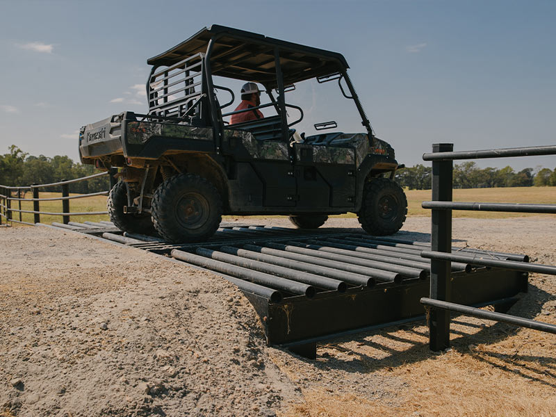 Priefert Cattle Guards - Image 4