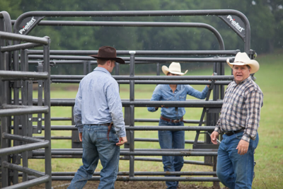 Rough Stock 8' Open Bow Gate - Image 2