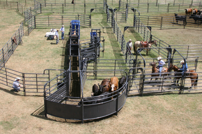 8' Sheeted Curved Panel - Image 5