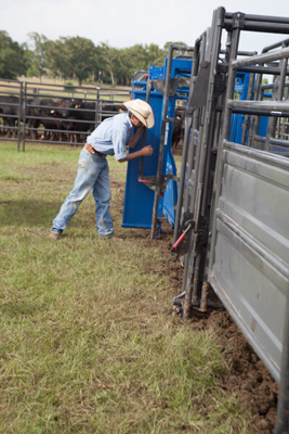 Adjustable Alley Frame w/Squeeze Chute Attachment - Image 1