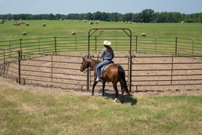 Utility Round Pens - Image 4