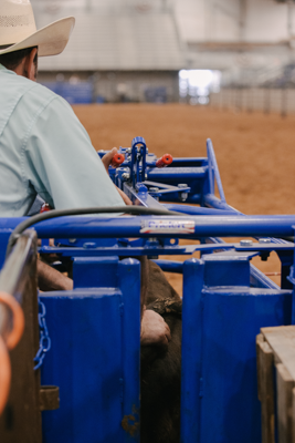 Manual Calf Roping Chute - Image 11
