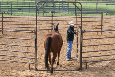 Utility Bow Gates - Image 0