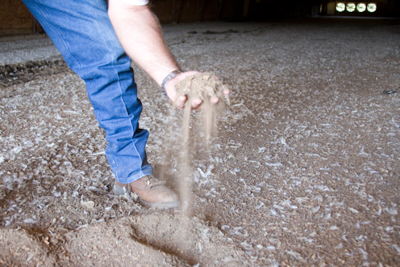 Litter Saver - Image 8