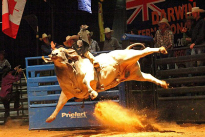 Bucking Chute - Image 7