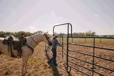Economy Round Pens - Image 1