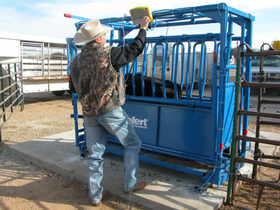 Weight Platform - Image 1