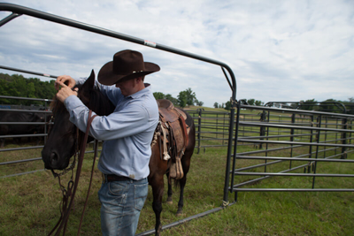 10' Premier Free Swing Bow Gate - Image 2