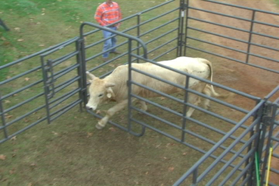 Rough Stock Walk Thru Panels - Image 0