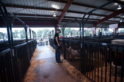 Sheep, Hog, & Goat Panels - Image 6
