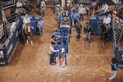 PRCA-Style Roping Boxes - Image 0
