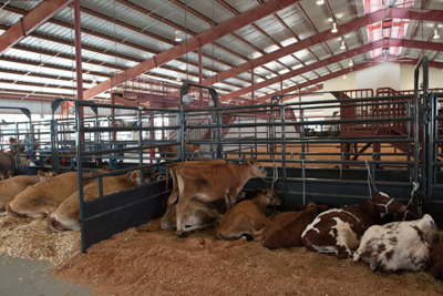 Tie Stall Panels - Image 2
