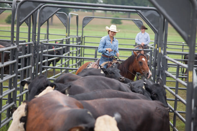 9' Tall Rough Stock Bow Gates - Image 1