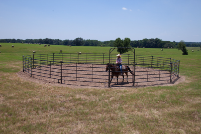 Premier Round Pens - Image 3