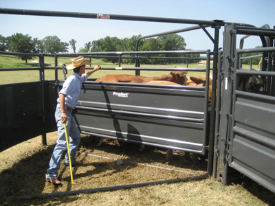 Sweep w/30' Adj. Alley, Preg Panels, Blocking Gates & 8' Sorting Gate - Image 3