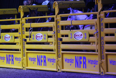 Bucking Chute Sets - Image 7