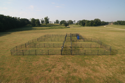 Rough Stock Open Corral System - 250 Head - Image 0