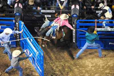 Bucking Chute - Image 12