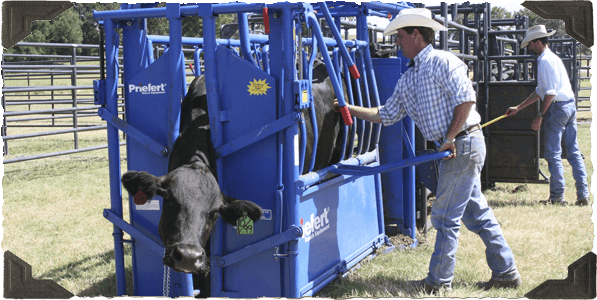 Squeeze Chute