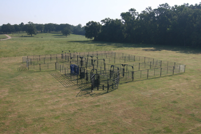 Rough Stock Open Corral System - 250 Head - Image 2