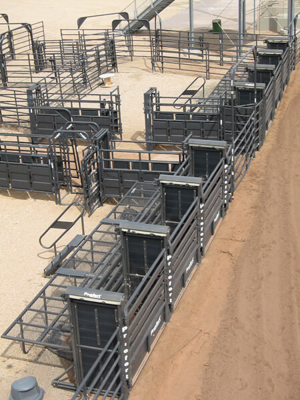 85' x 130' PBR-Style Arena - Image 2