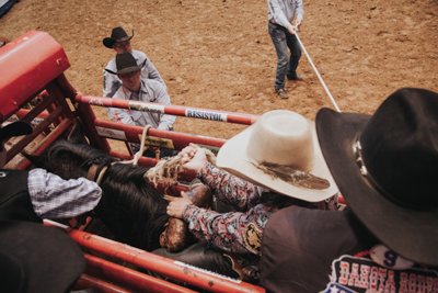 Bucking Chute - Image 17