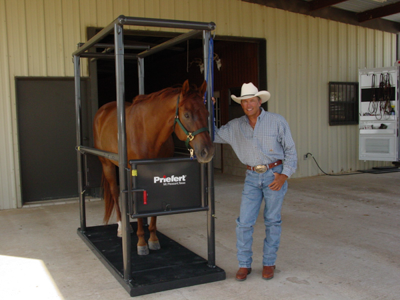Horse Stock Platform - Image 1
