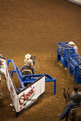 Adjustable Roping Boxes - Image 8