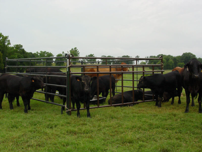 Feed Bunk Liner - Image 2