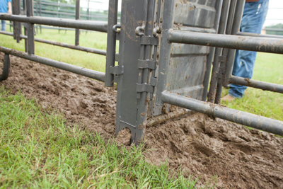 Adjustable Alley Gate - Image 8