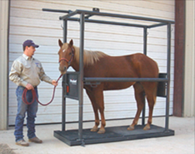 Horse Stock Platform - Image 2