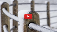 Ponderosa Fence Commercial (Extended Version)